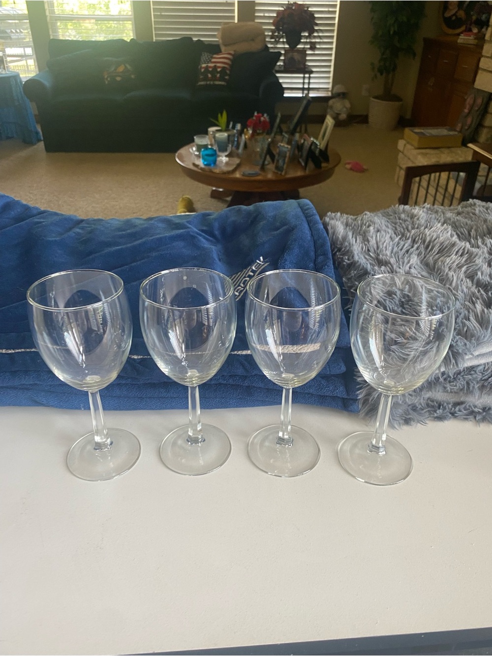 Clear Glass Wine Glasses - Set of 4